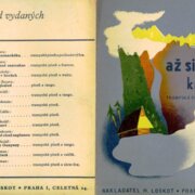 Až si najdu kamarádku