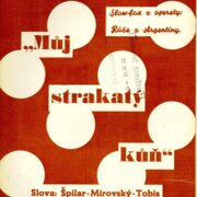 Můj strakatý kůň