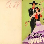 Můj strakatý kůň