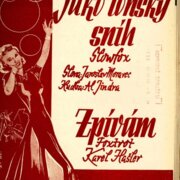 Jako loňský sníh, Zpívám