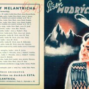 Pídeň modrých hor..