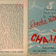 Sebrala nám voda chajdu