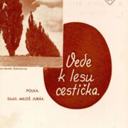 Vede k lesu cestička