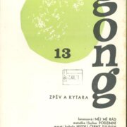Gong 13