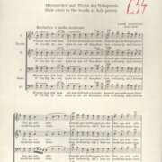 Die wahre liebe - true love