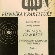 Písnička v partituře - Lejkuju po městě