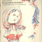 Po zarostlém chodníčku