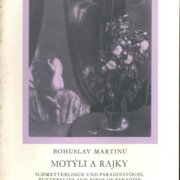 Motýli a rajky