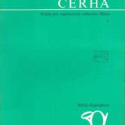 Studie pro sopránovou zobcovou flétnu I.