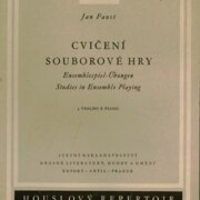 Cvičení souborové hry