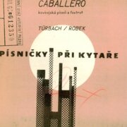 Písničky při kytaře 13