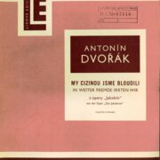 My cizinou jsme bloudili